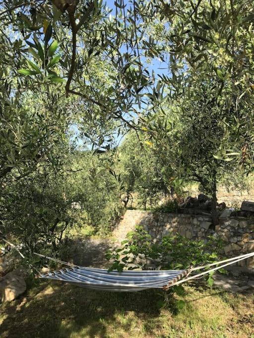 Villa Berio Due - Tuija Villa Viani المظهر الخارجي الصورة