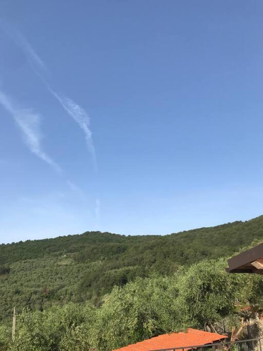 Villa Berio Due - Tuija Villa Viani المظهر الخارجي الصورة