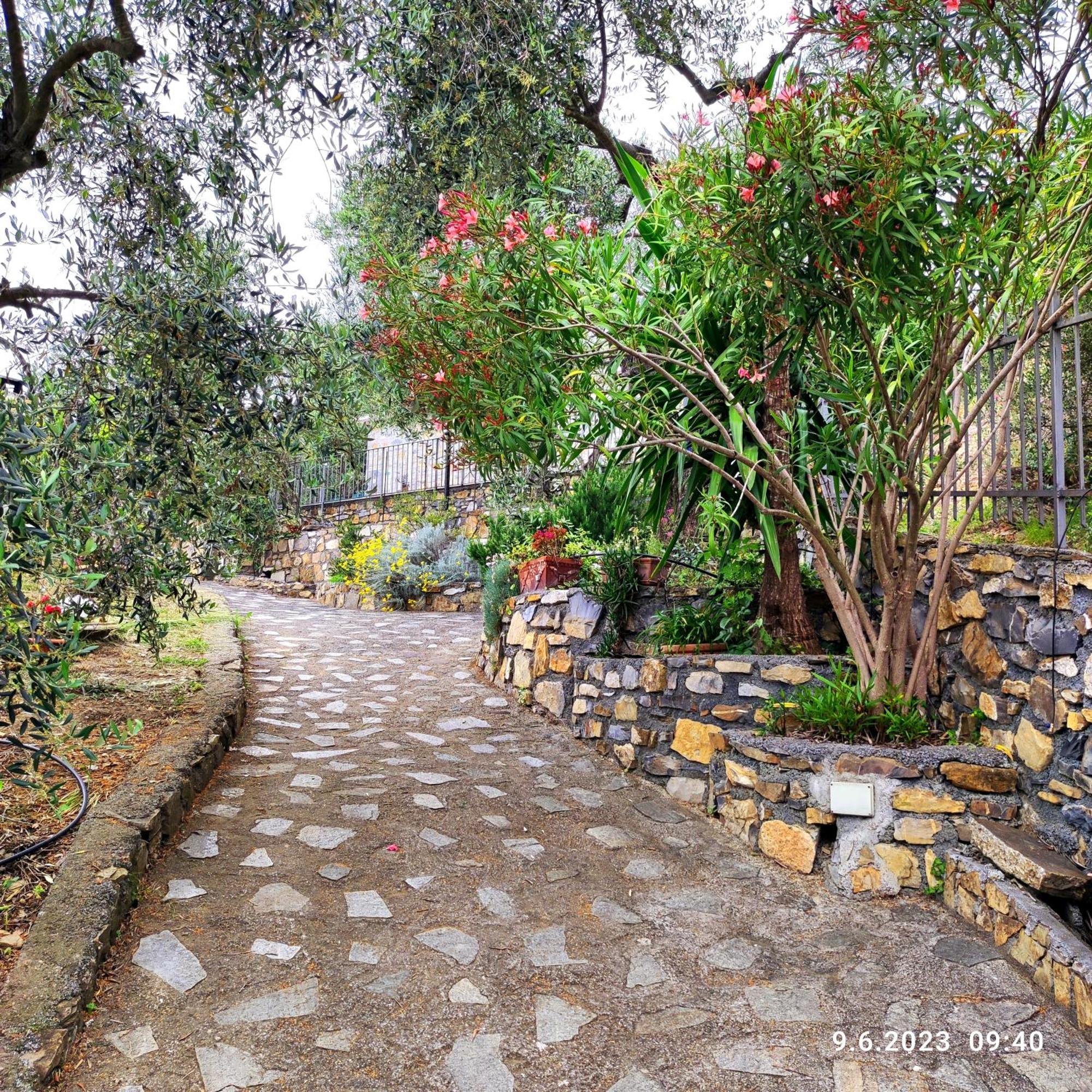 Villa Berio Due - Tuija Villa Viani المظهر الخارجي الصورة