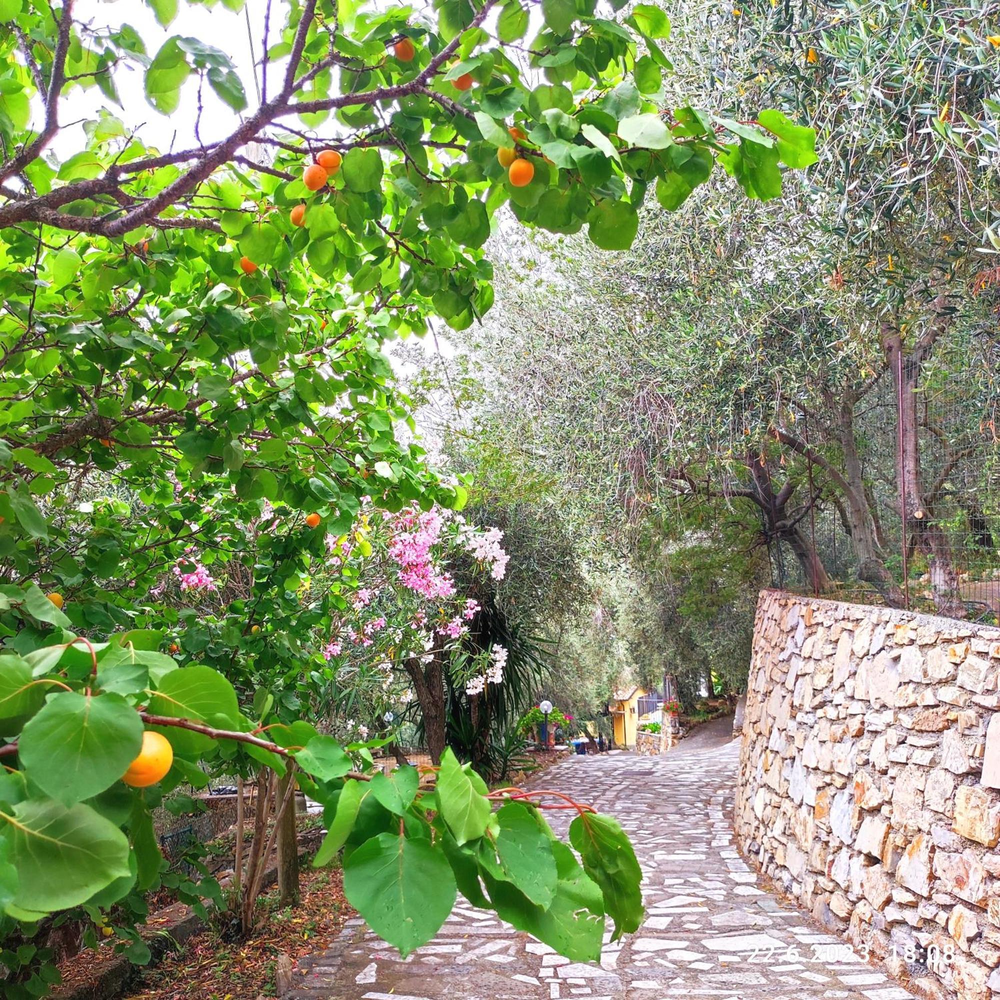 Villa Berio Due - Tuija Villa Viani المظهر الخارجي الصورة