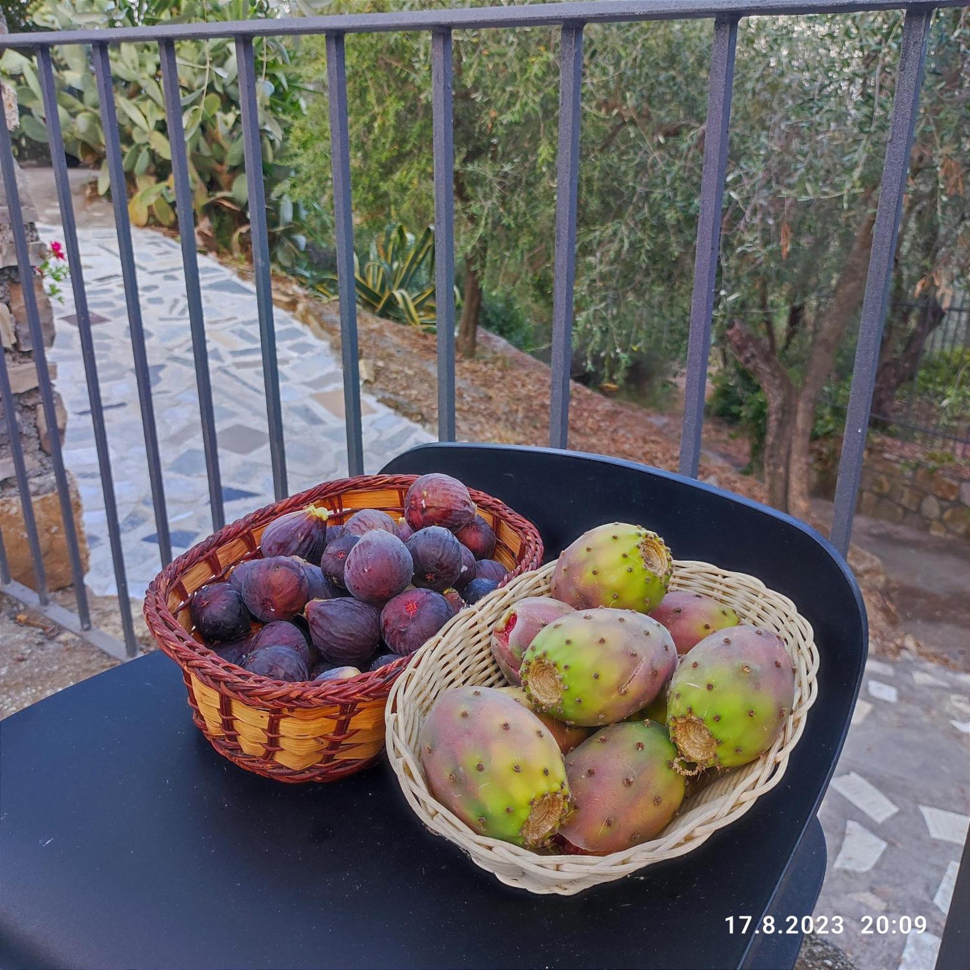 Villa Berio Due - Tuija Villa Viani المظهر الخارجي الصورة